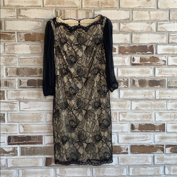 Tadashi Shoji Bishop Lace Dress Sz 10 - Picture 3 of 9